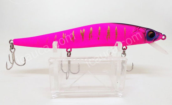 Minnow IC110