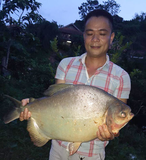 Cá chim 7kg lên bờ