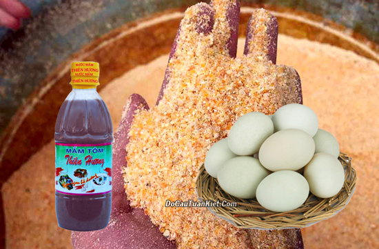 Mồi câu rô phi sông bằng cám ngô và mắm tôm