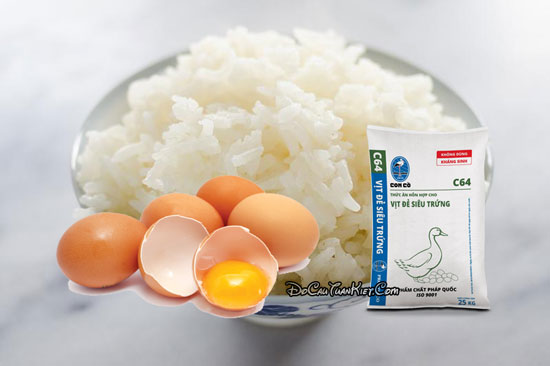 Mồi câu trôi từ cơm nguội và trứng vịt