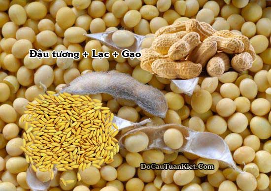 Đỗ tương, gạo và lạc làm mồi câu cá trắm