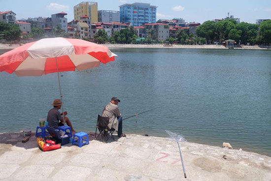 Hồ câu đầm sòi