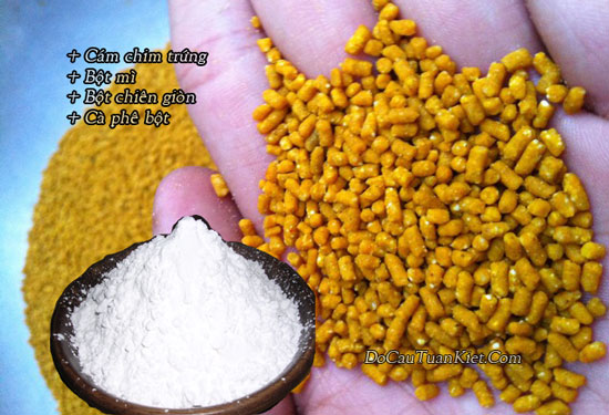 Mồi cá mè vinh