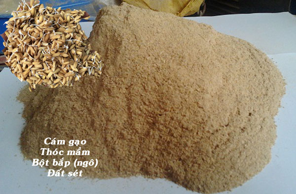 Mồi câu cá chép sông