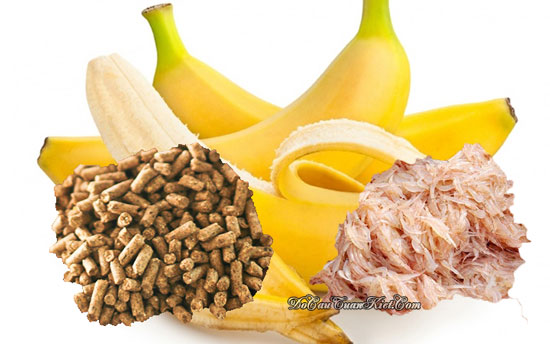 Mồi câu cá tra từ chuối