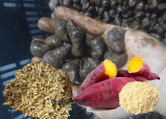 Cầu câu cá trôi từ ốc vặn