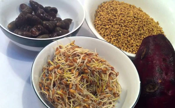 Mồi câu cá chép ở ao hồ