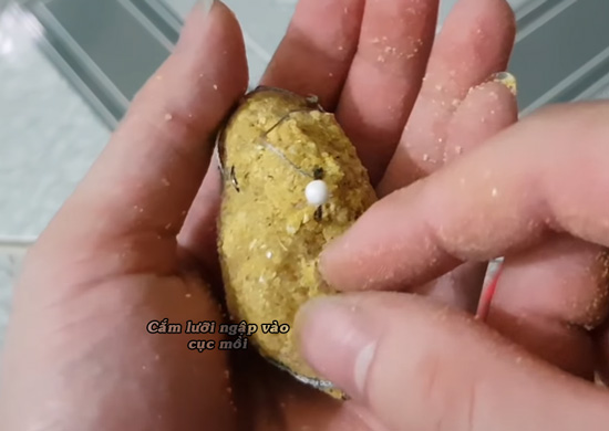 Cắm lưỡi vào cục mồi lăng xê