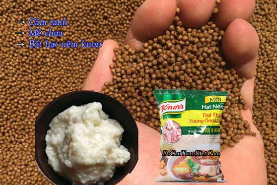 Mồi câu rô phi từ mẻ chua
