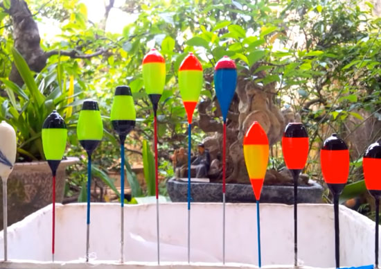 Phơi phao câu lục