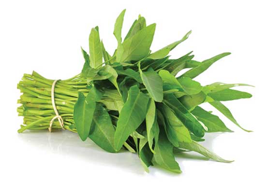 Rau muống phơi héo làm mồi câu trắm cỏ