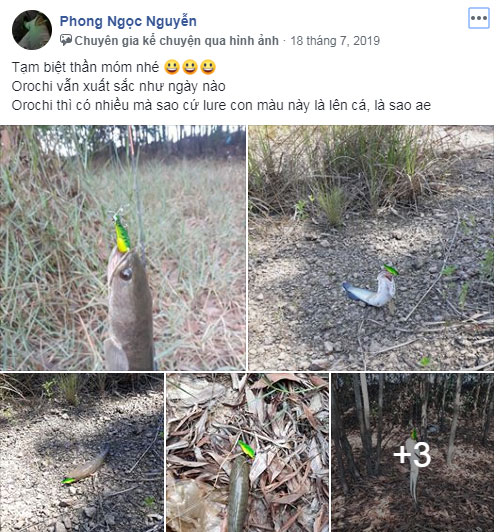 Mồi giả orochi