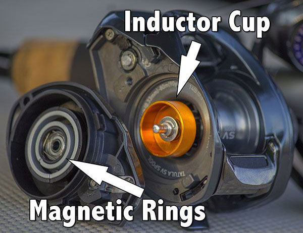 Inductor-Cup-and-Magnetic-Rings