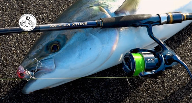 Máy câu Shimano Twin Power câu lure ở biển