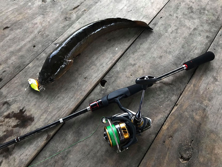mồi giả c&acirc;u lure v5